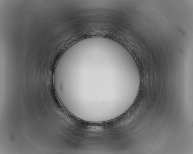X0000112870649200908211031