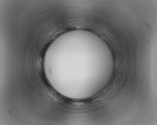 X0000112870650200908211031