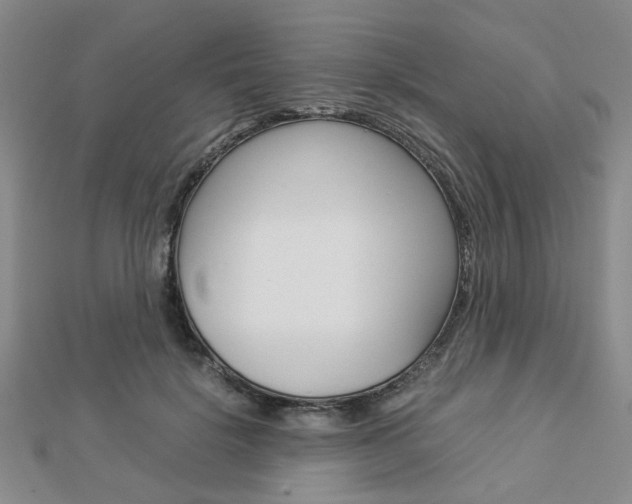 X0000112870652200908211031