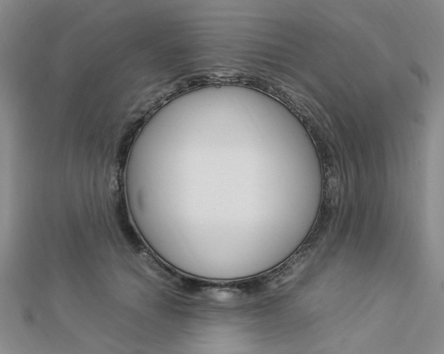 X0000112870654200908211031
