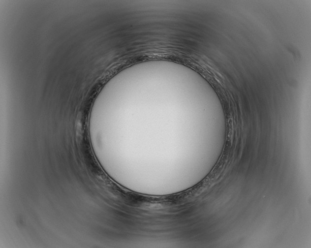 X0000112870655200908211031