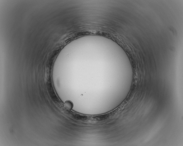 X0000112870656200908211031