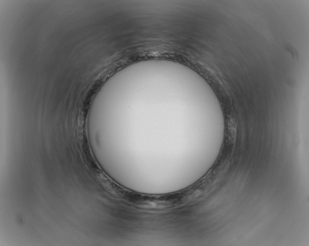 X0000112870657200908211031