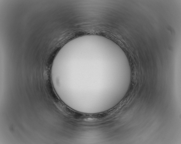 X0000112870658200908211031
