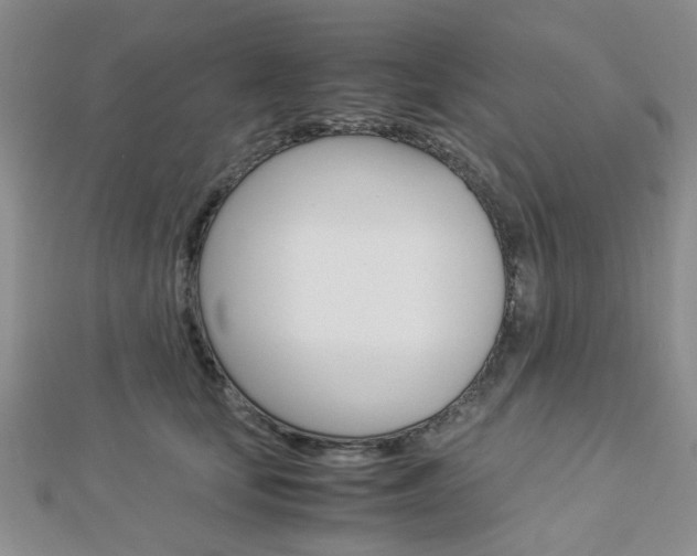 X0000112870659200908211031