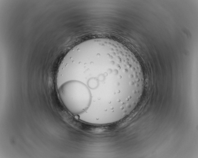 X0000112870662200908211031