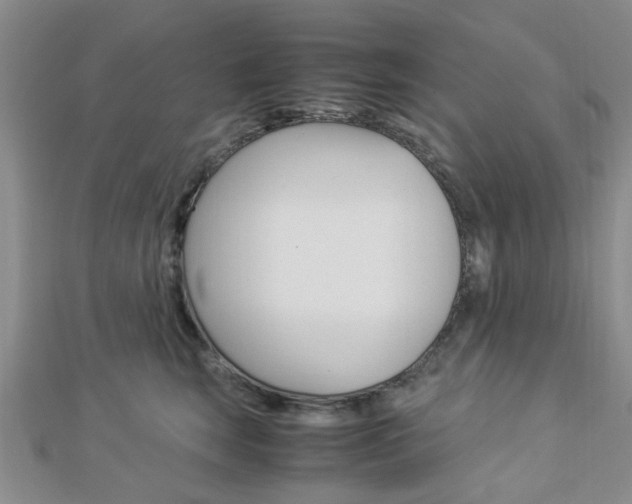 X0000112870663200908211031