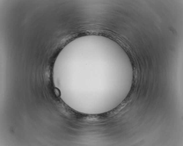 X0000112870668200908211031