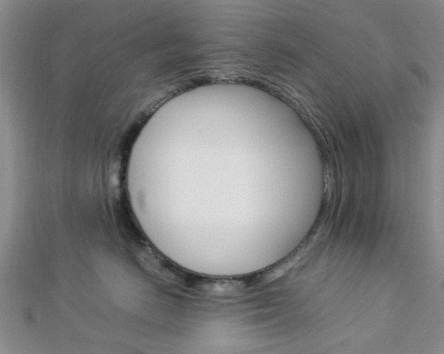 X0000112870670200908211031