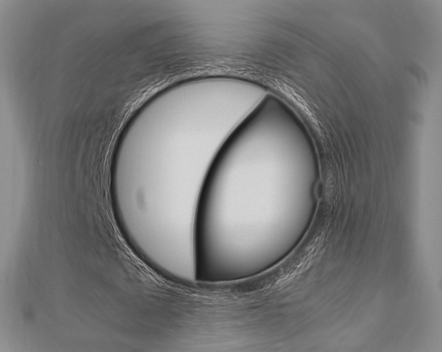 X0000112870673200908211030