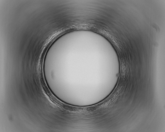 X0000112870674200908211030