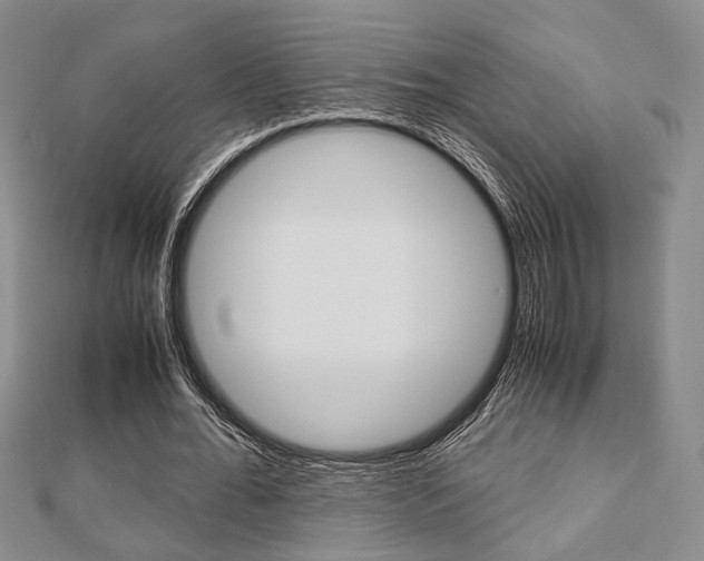 X0000112870676200908211030