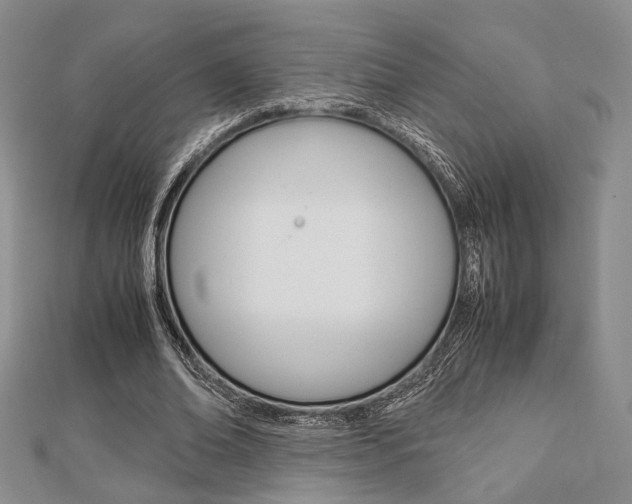 X0000112870678200908211030