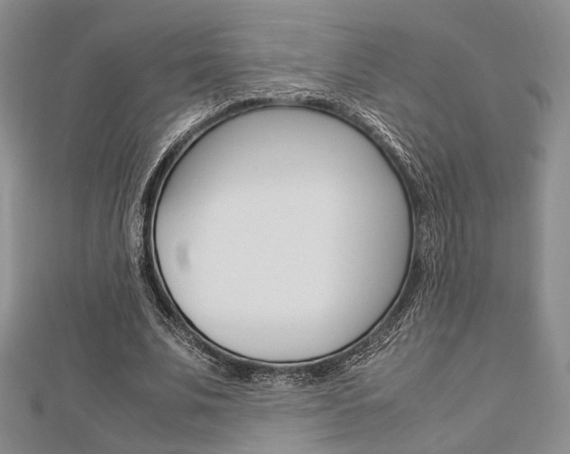 X0000112870679200908211030