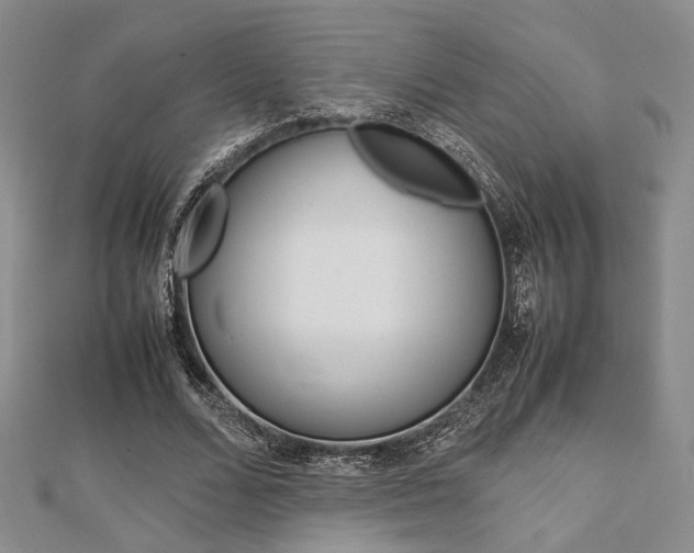 X0000112870680200908211030