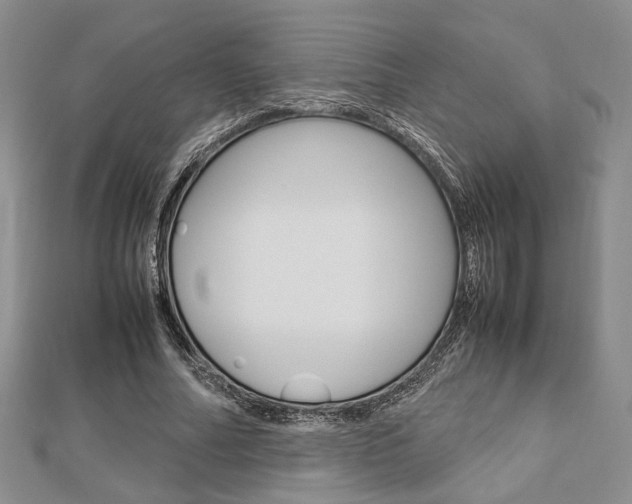 X0000112870682200908211030