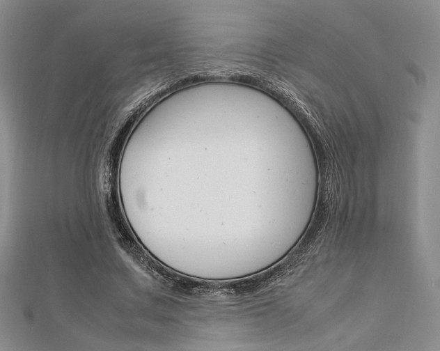 X0000112870683200908211030