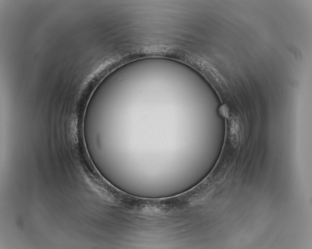 X0000112870684200908211030