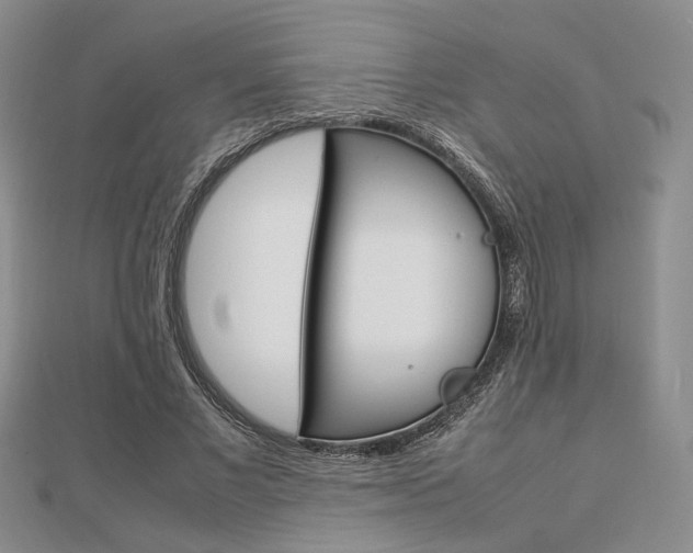 X0000112870685200908211030