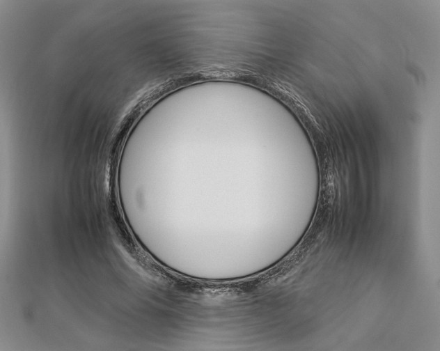 X0000112870686200908211030