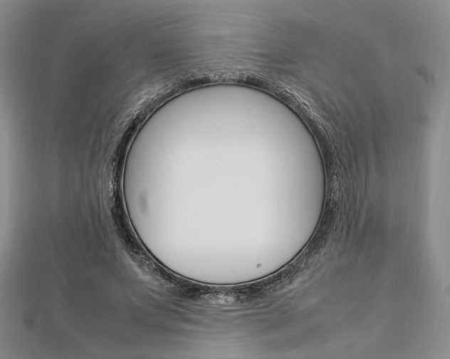 X0000112870687200908211030