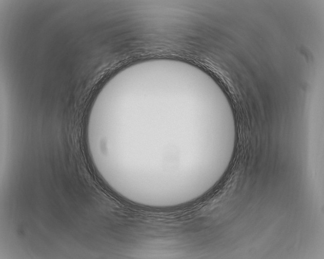 X0000112870689200908211030