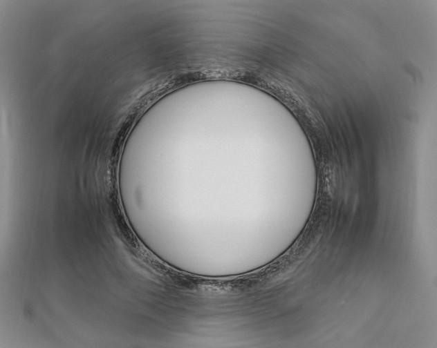 X0000112870690200908211030