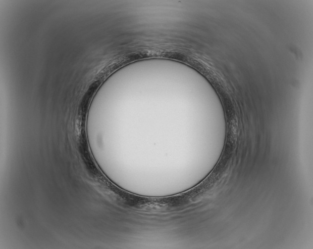 X0000112870691200908211030