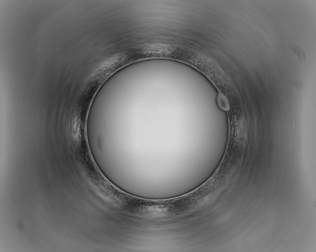 X0000112870692200908211030