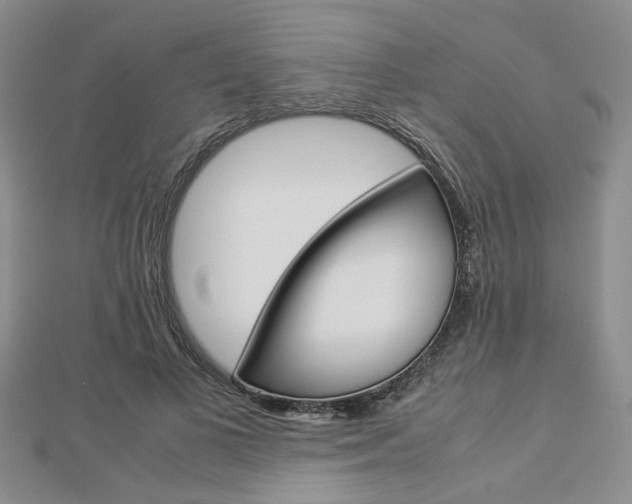 X0000112870693200908211030