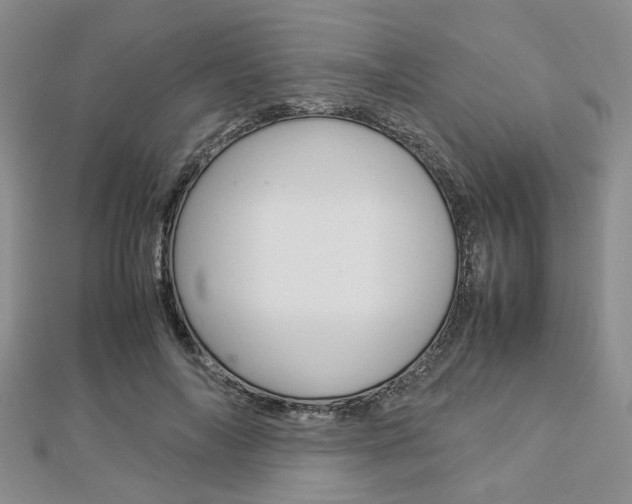 X0000112870694200908211030