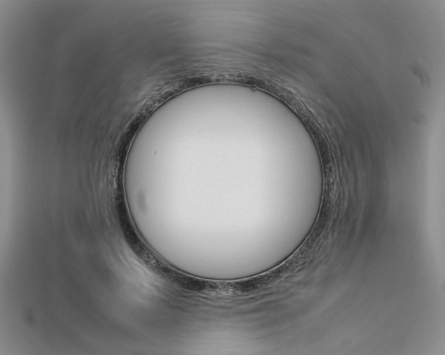 X0000112870695200908211030