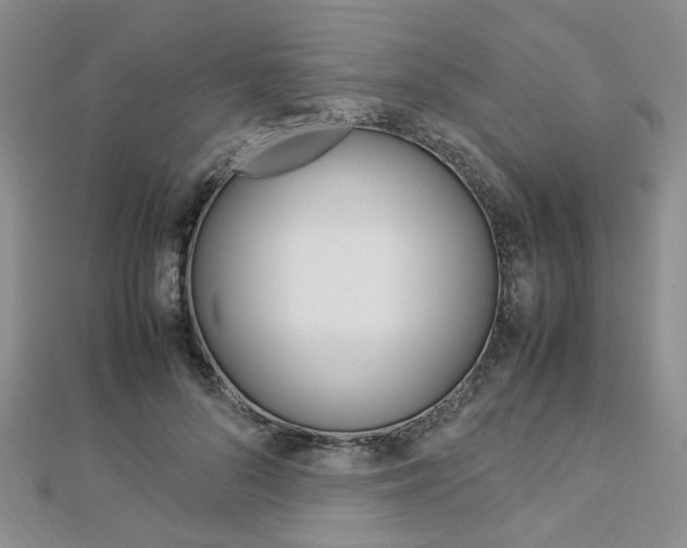 X0000112870696200908211030