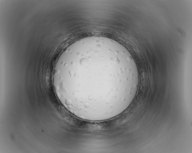 X0000112870698200908211030