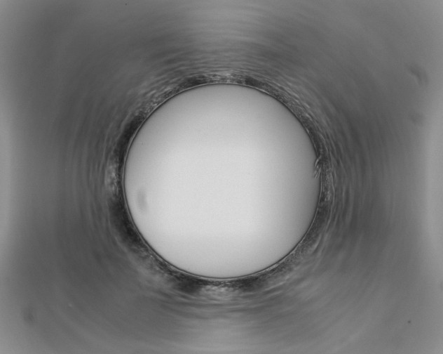 X0000112870699200908211030