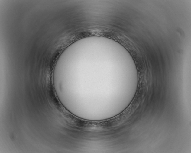 X0000112870702200908211030