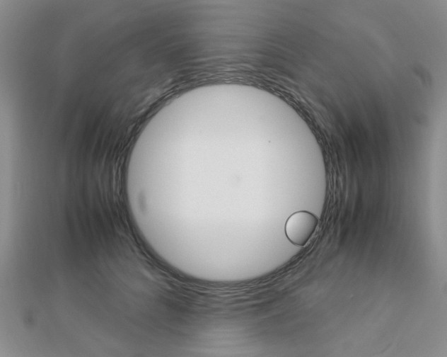 X0000112870704200908211030