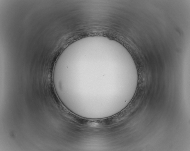 X0000112870706200908211030