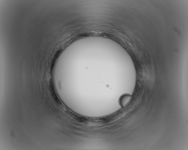 X0000112870707200908211030