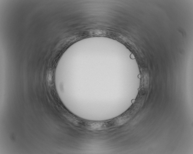 X0000112870709200908211030