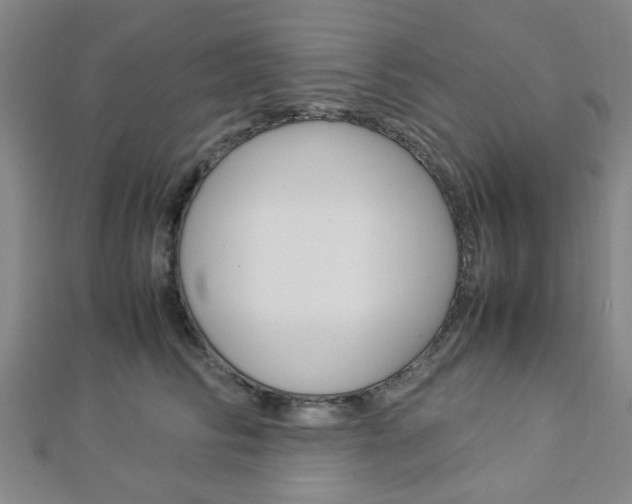 X0000112870710200908211030