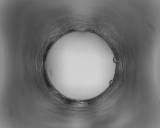 X0000112870711200908211030