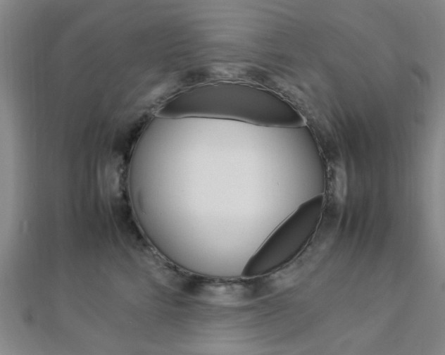 X0000112870712200908211030