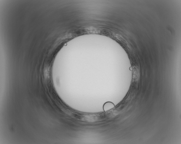 X0000112870713200908211030
