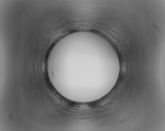 X0000112870715200908211030