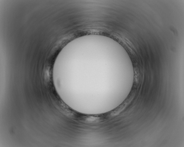 X0000112870718200908211030
