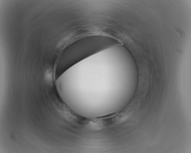 X0000112870720200908211030