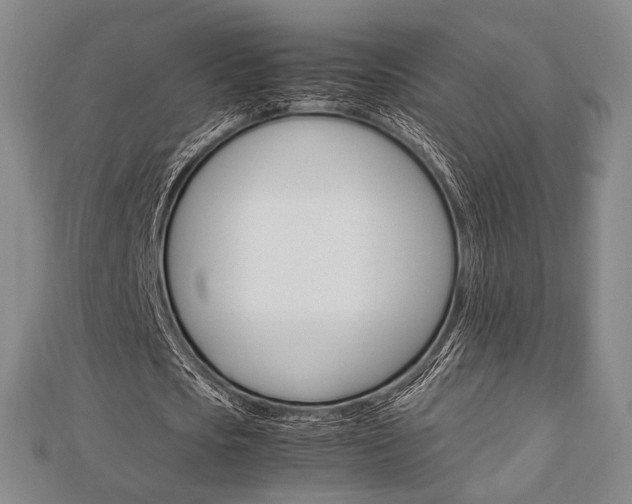 X0000112870721200908211029