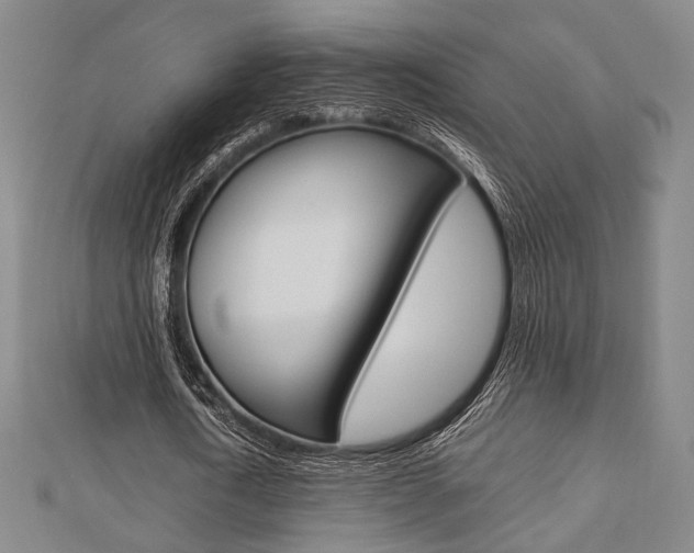 X0000112870722200908211029