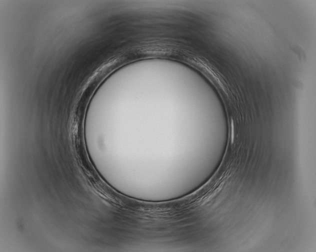 X0000112870723200908211029